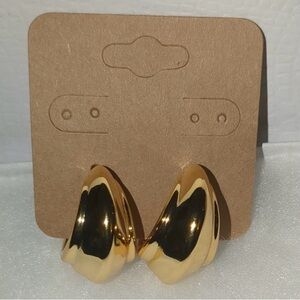 Chic Gold Plated Earrings